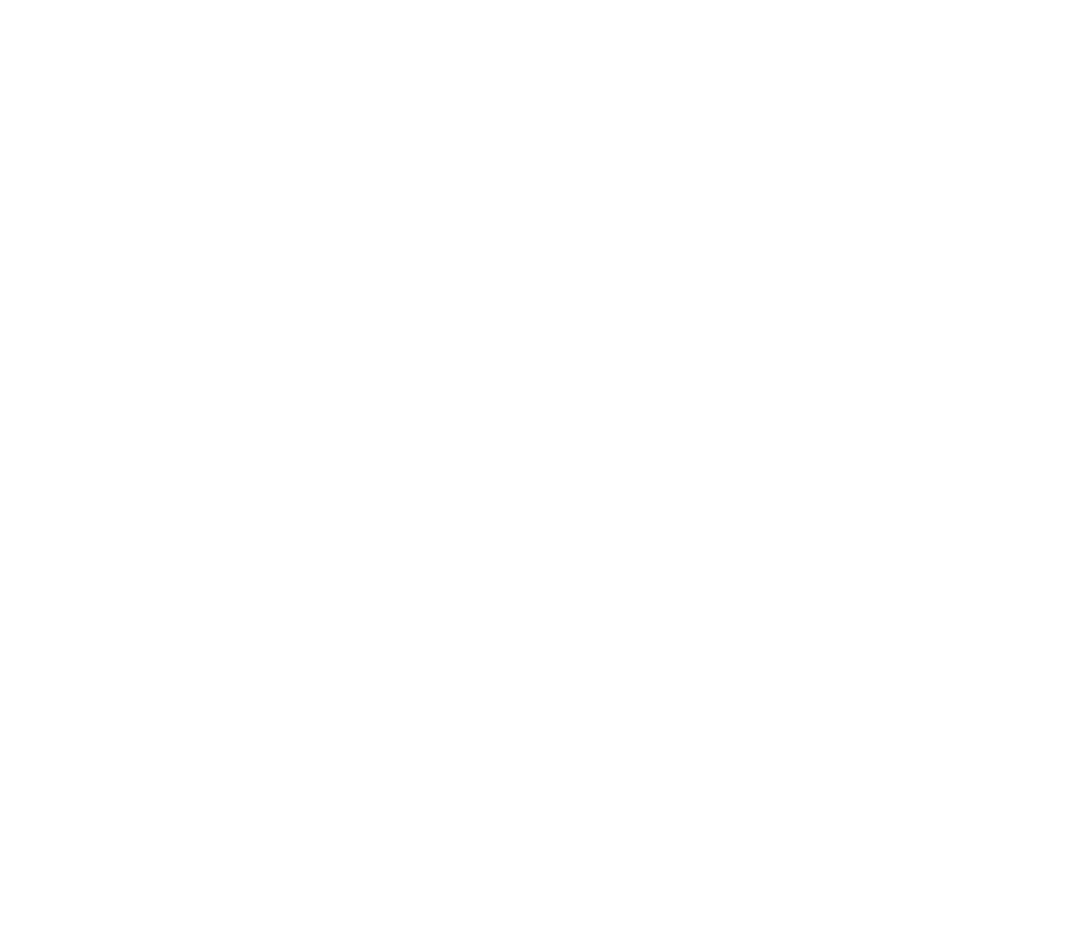 logo blanc